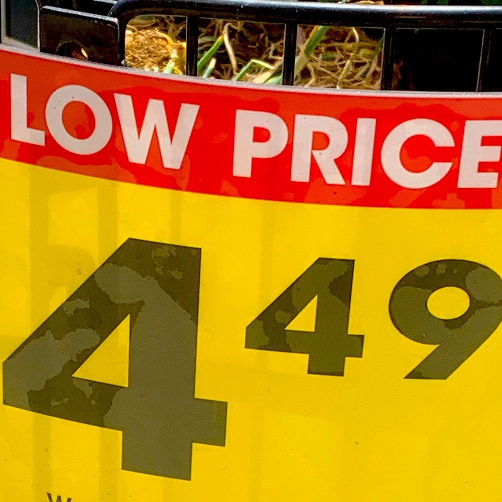 An item catches you and your fam/friend’s attention offers can be let known